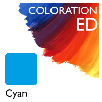 Coloration ED Flasche Cyan