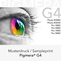Musterdruck - Pigmera G4