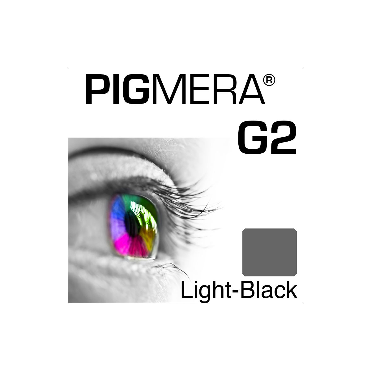 farbenwerk Pigmera G2 Flasche Light-Black