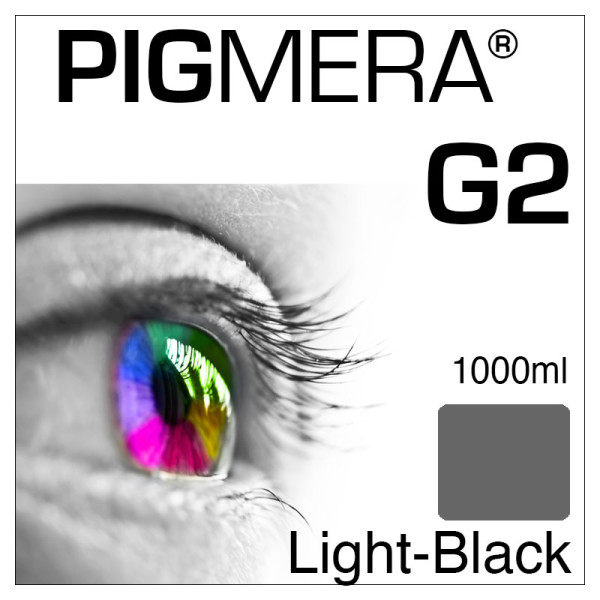 farbenwerk Pigmera G2 Flasche Light-Black 1000ml
