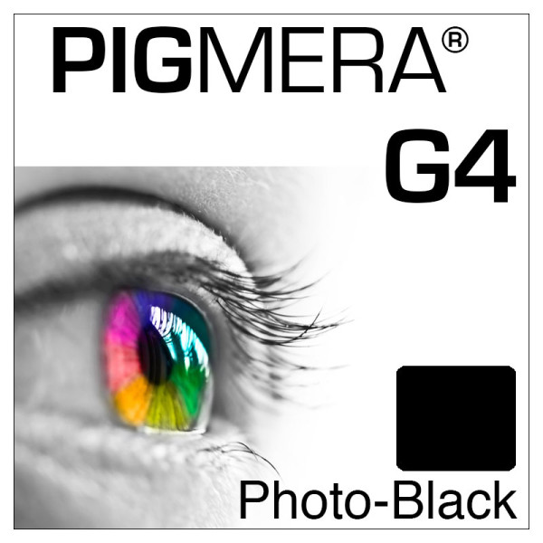 farbenwerk Pigmera G4 Flasche Photo-Black