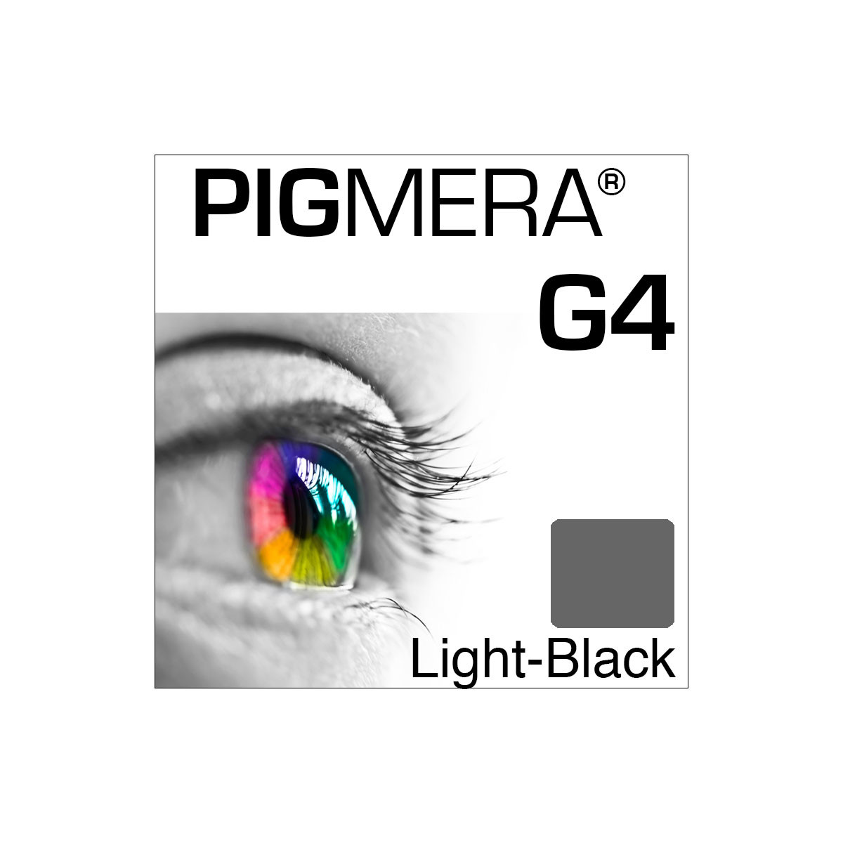 farbenwerk Pigmera G4 Flasche Light-Black
