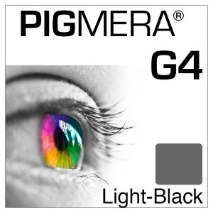 farbenwerk Pigmera G4 Flasche Light-Black