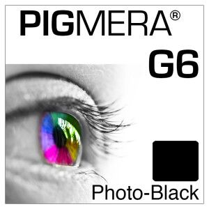 farbenwerk Pigmera G6 Flasche Photo-Black