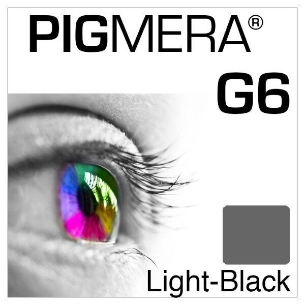 farbenwerk Pigmera G6 Flasche Light-Black